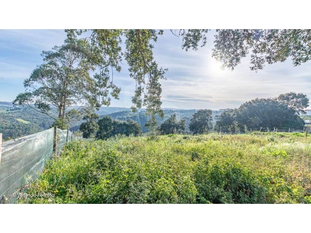 Lote - Ericeira 4 km, A Casa das Casas - Grande imagem: 4/7