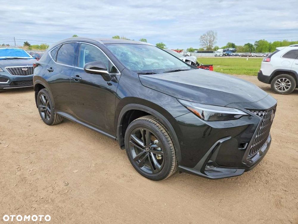 Lexus NX - 6