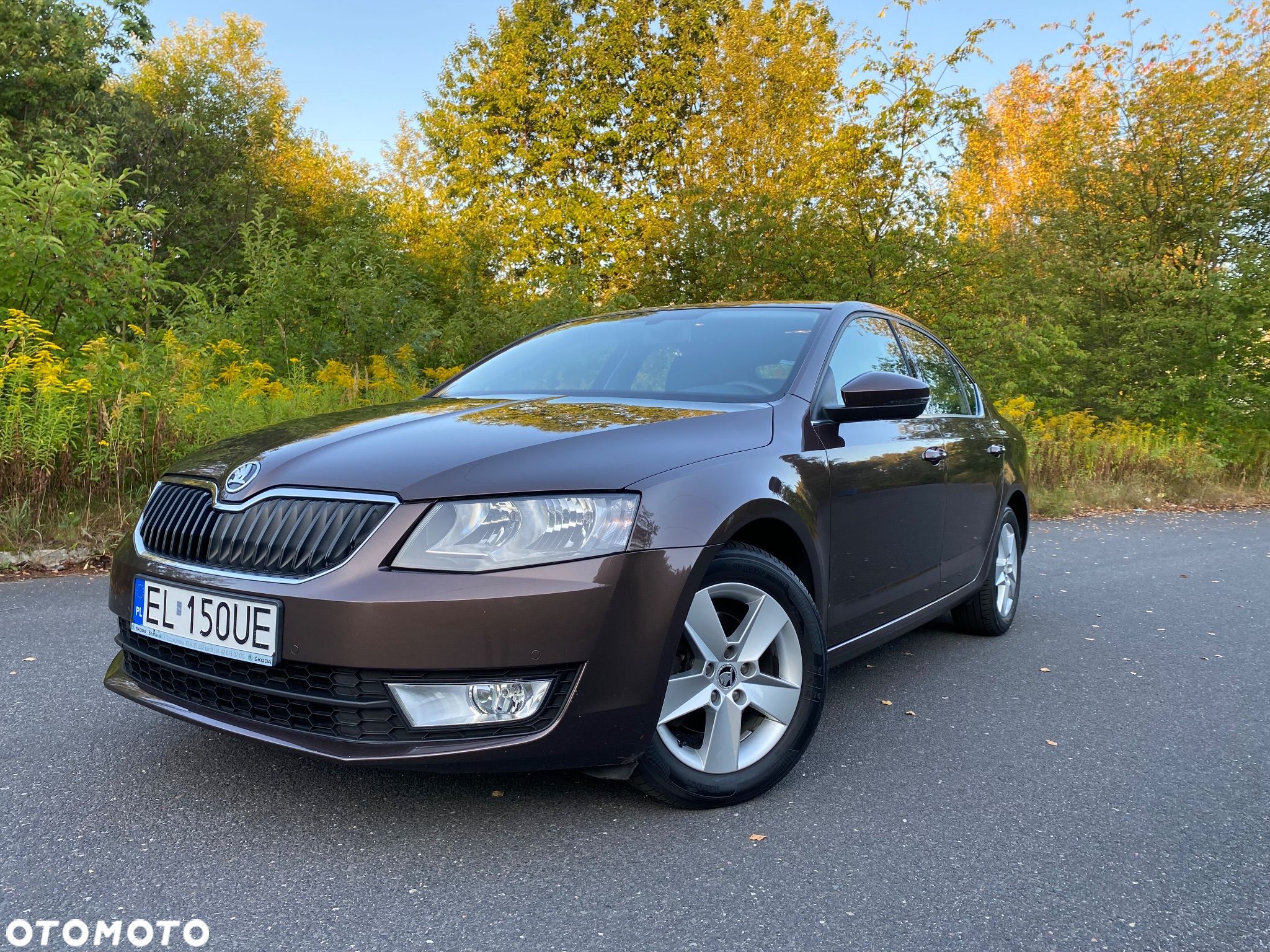 Skoda Octavia 1.4 TSI Ambition - 1