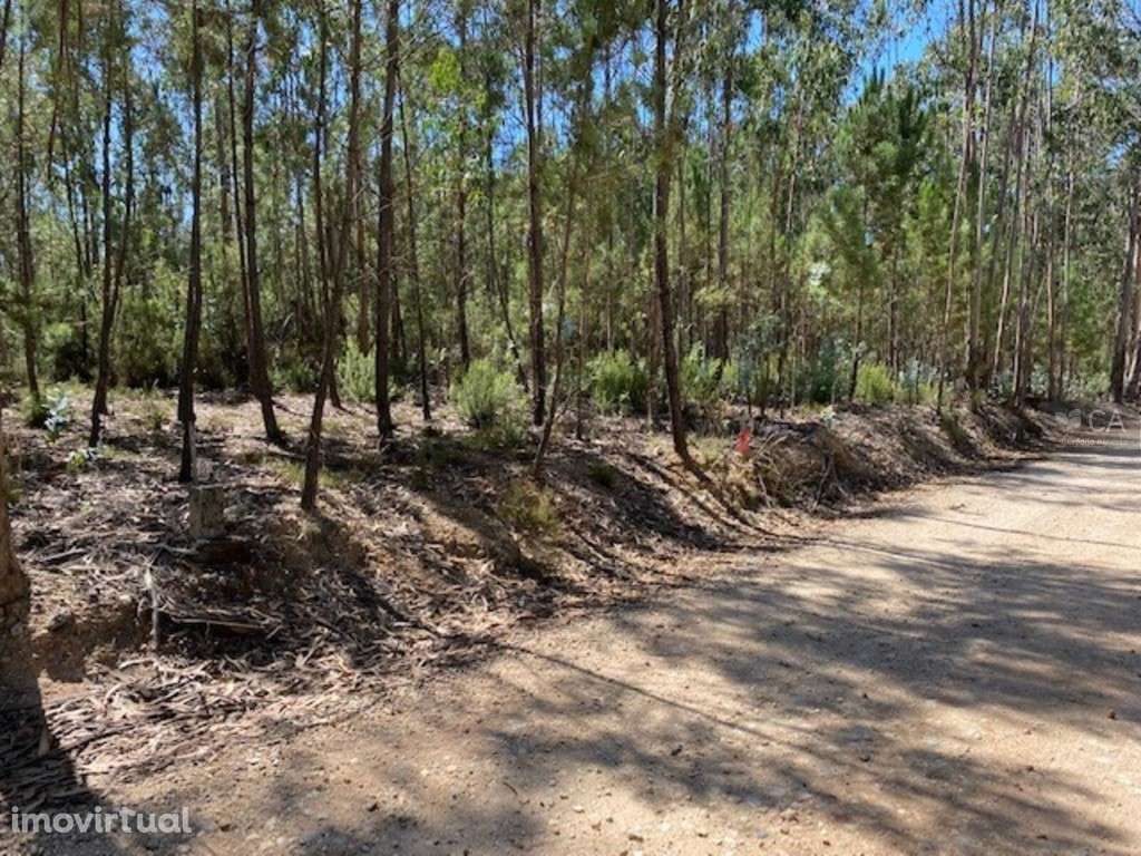 Terreno - Grande imagem: 3/7