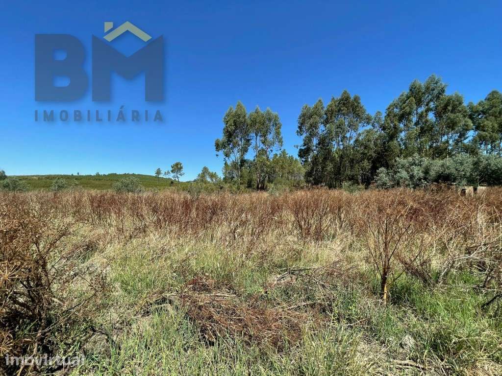 Terreno rustico com 1680m2 em Juncal do Campo! - Grande imagem: 4/8