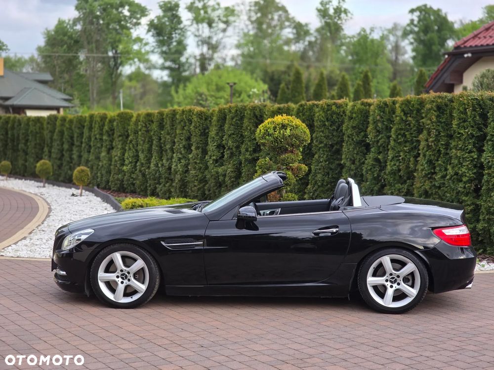 Mercedes-Benz SLK 250 CDI BlueEff - 15
