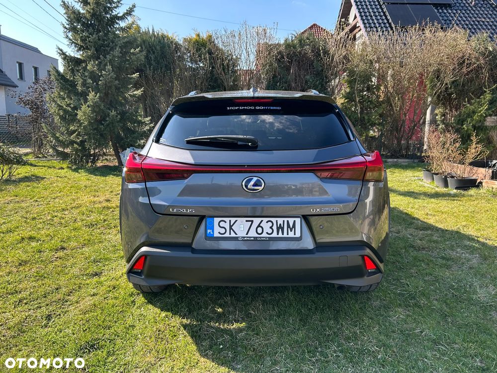 Lexus UX 250h GPF F Impression 2WD - 8