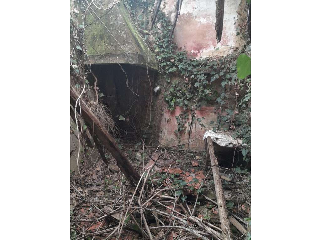Moradia T5 em Porto de Covões (Para Reconstrução) - Grande imagem: 5/9