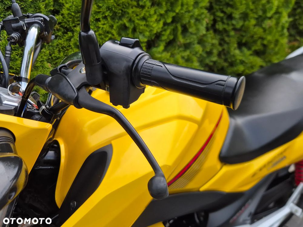 Honda CBF - 21