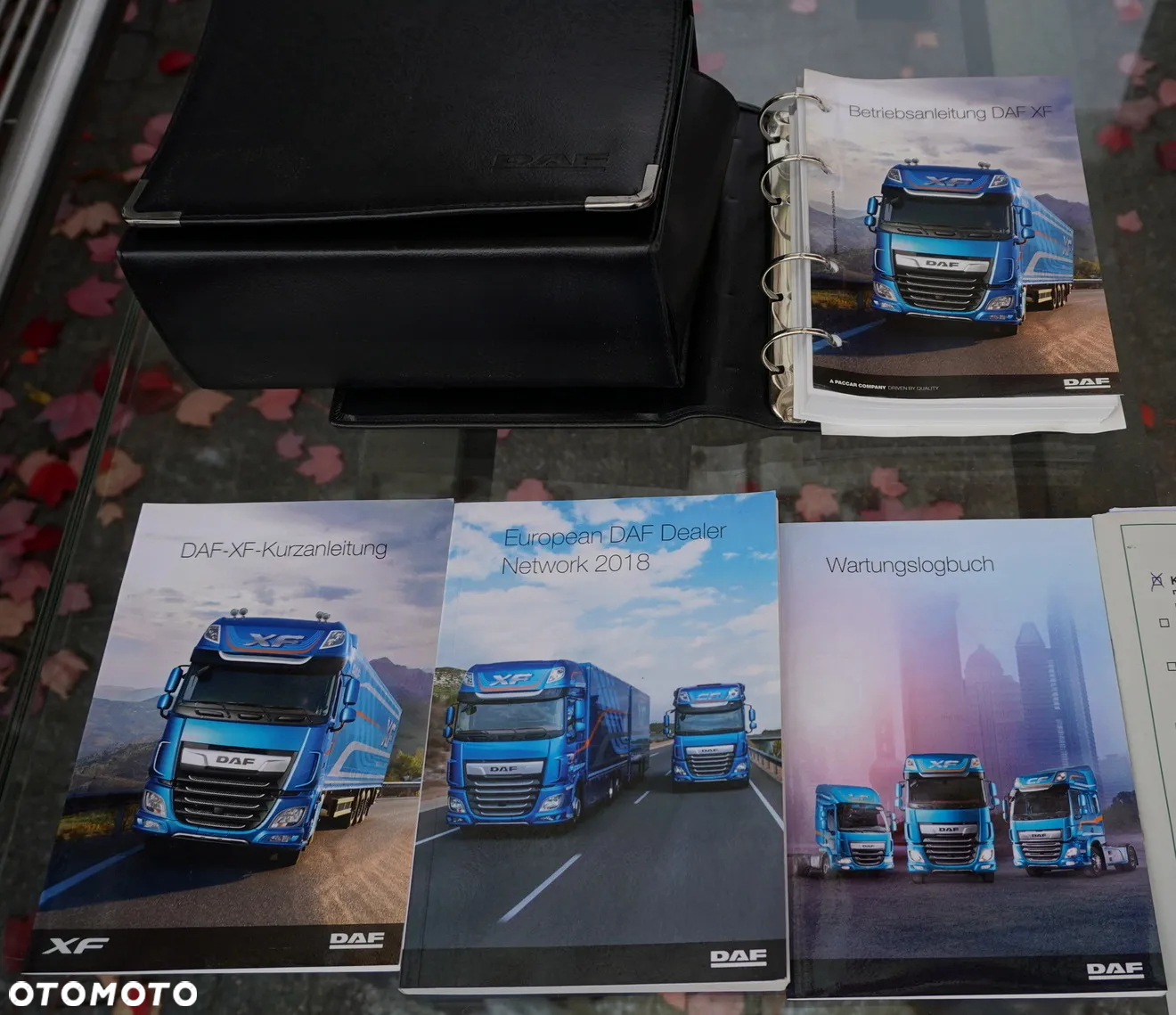 DAF XF 450 6×2 E6 / Chłodnia Lacapitaine 18 palet - 30