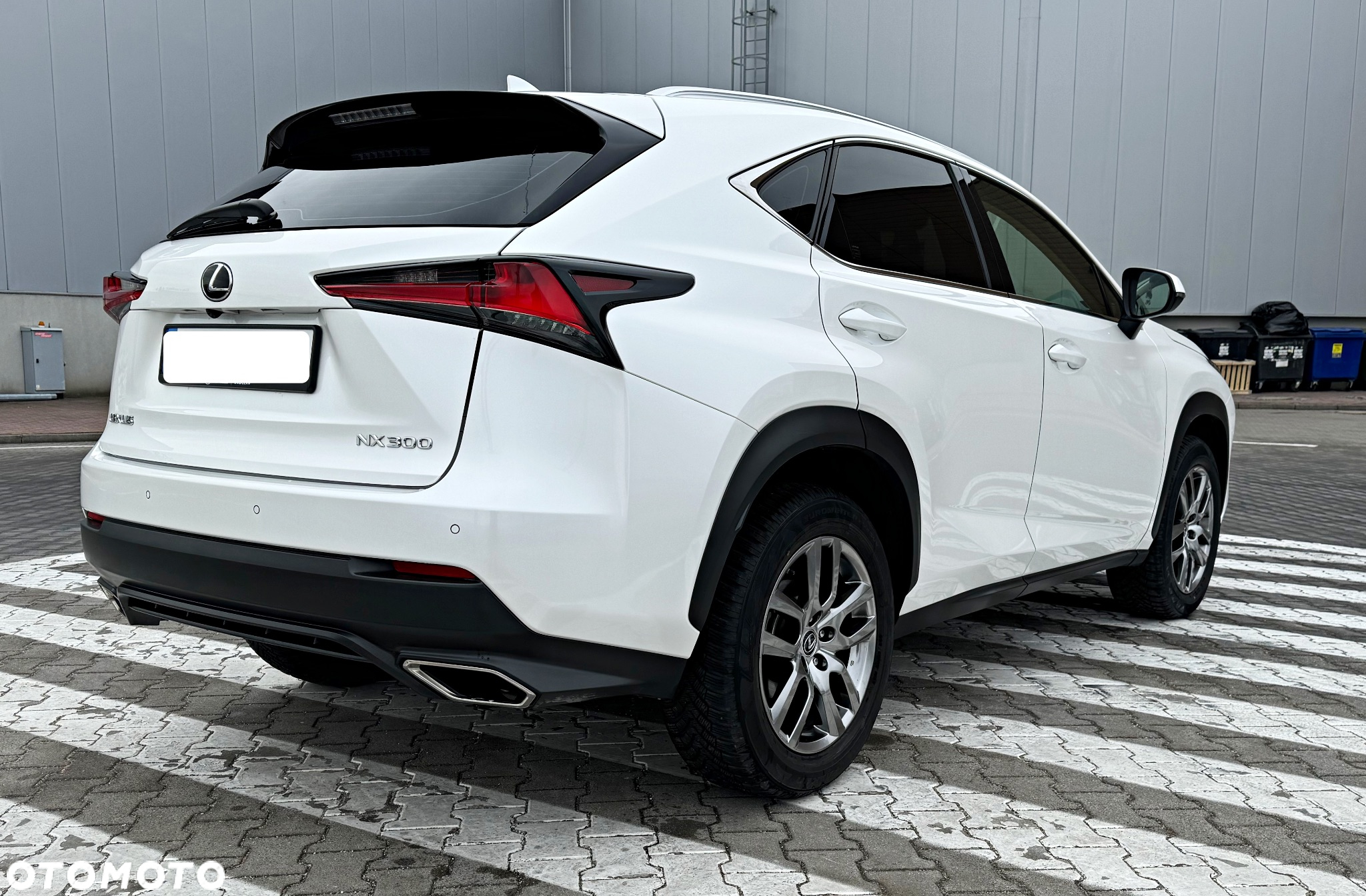 Lexus NX 300 Elegance Optimum AWD - 6