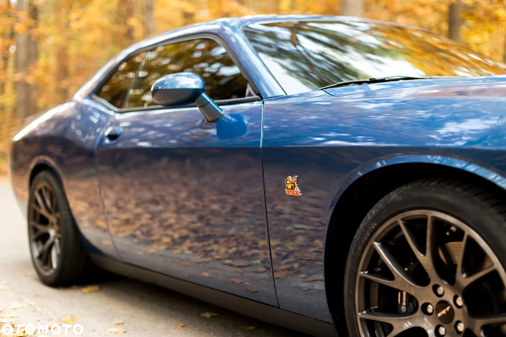 Dodge Challenger - 10
