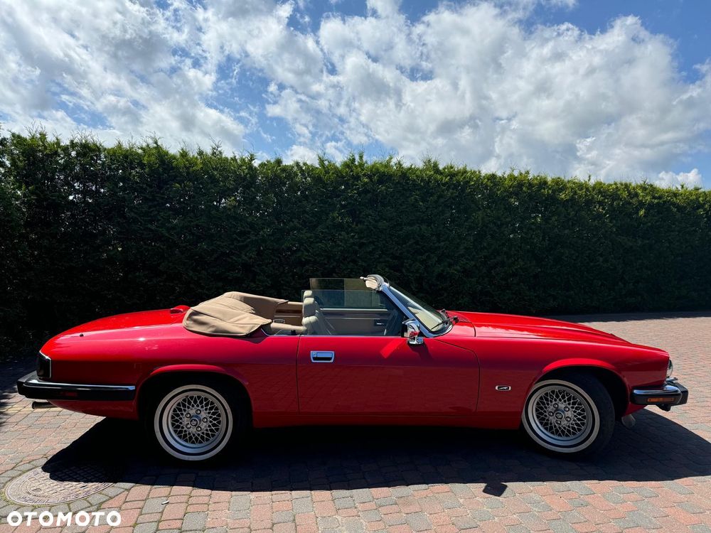 Jaguar XJS - 8