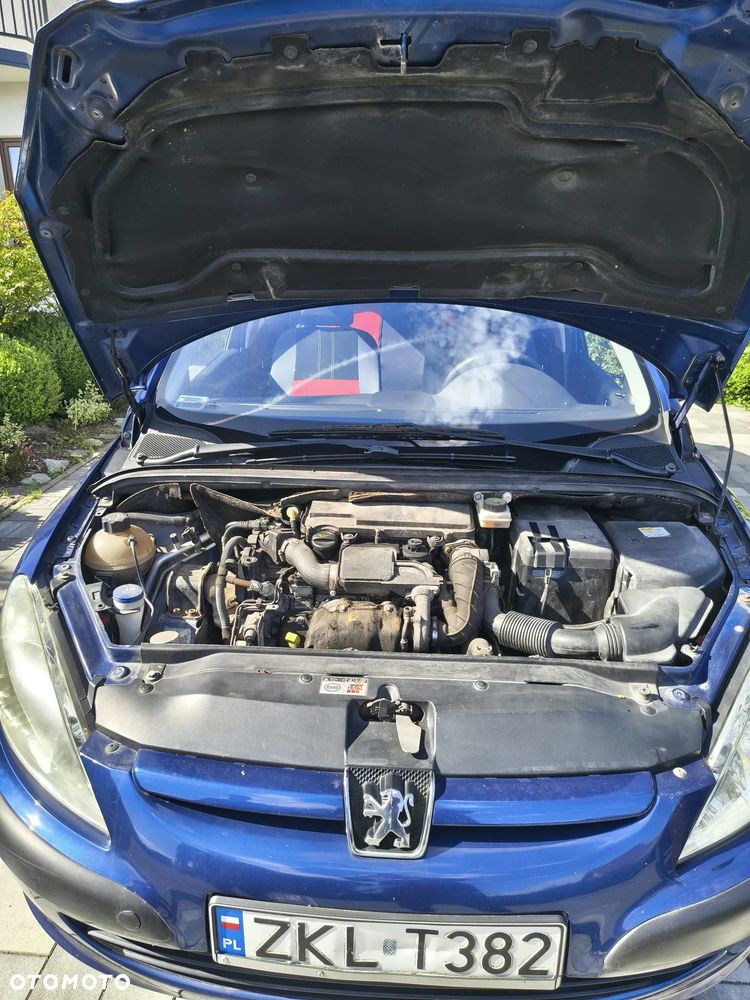 Peugeot 307 - 12