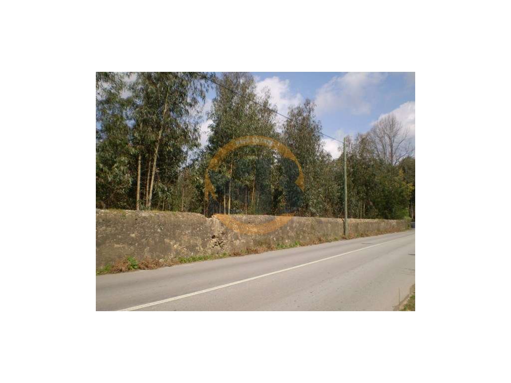 Terreno Industrial Oliveira de Azeméis - Grande imagem: 3/4