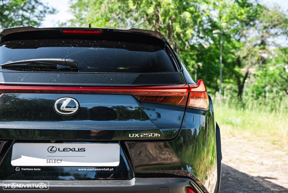 Lexus UX 250h F Sport - 21