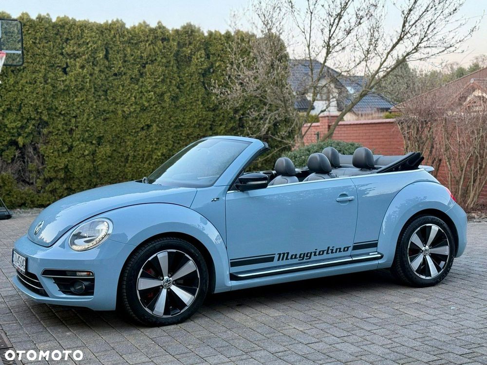 Volkswagen Beetle - 14
