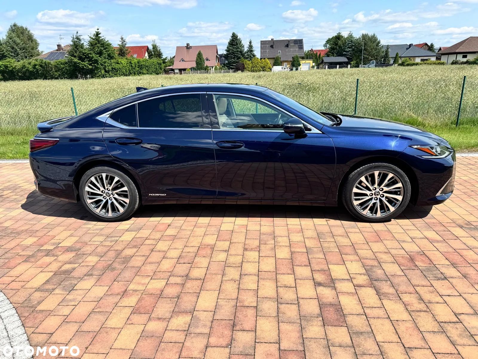 Lexus ES 300h Business Edition + - 1
