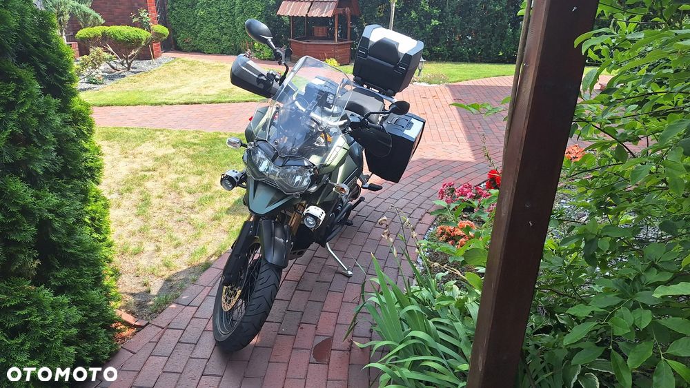 Triumph Tiger - 19