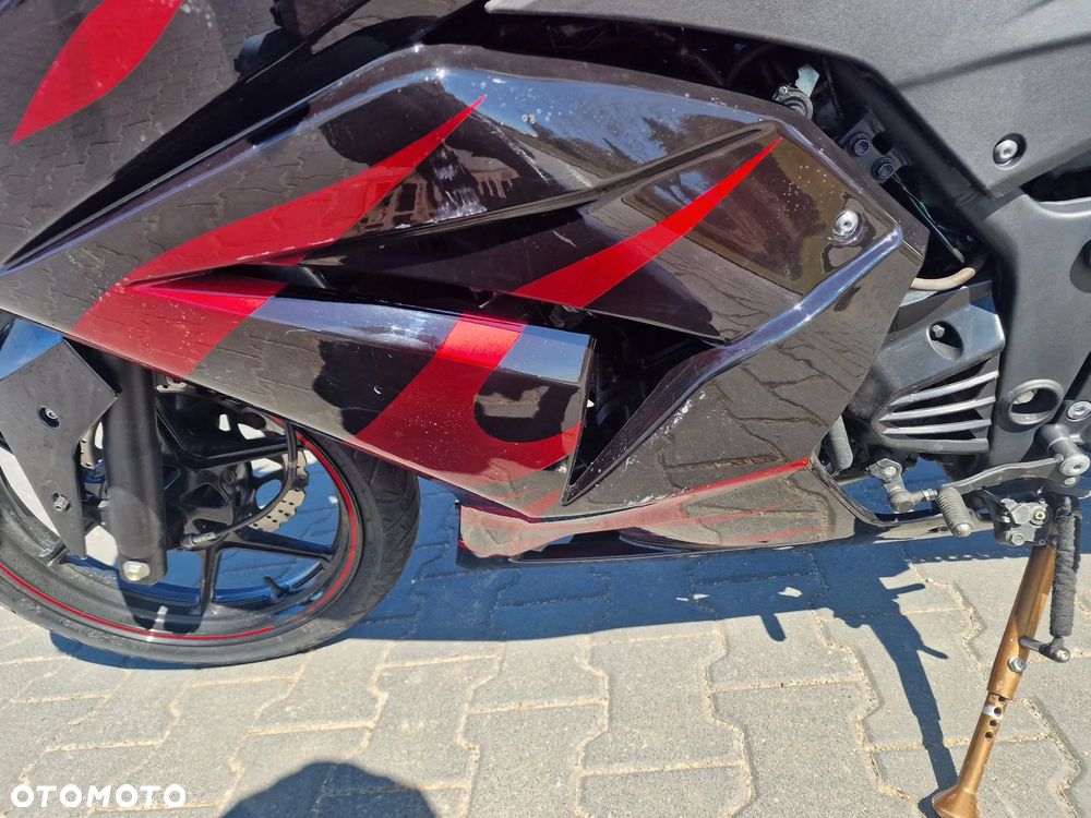 Kawasaki Ninja 250R - 6