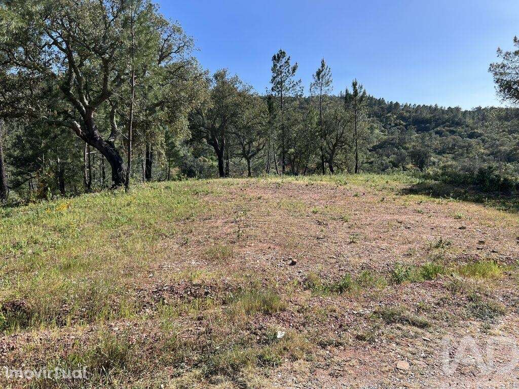 Terreno em Querença, Tôr e Benafim de 1580,00 m2 - Grande imagem: 2/9