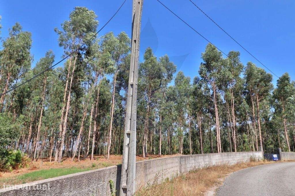 Terreno rústico em Goães, Vila Verde - Com 6030m2 - Grande imagem: 4/25