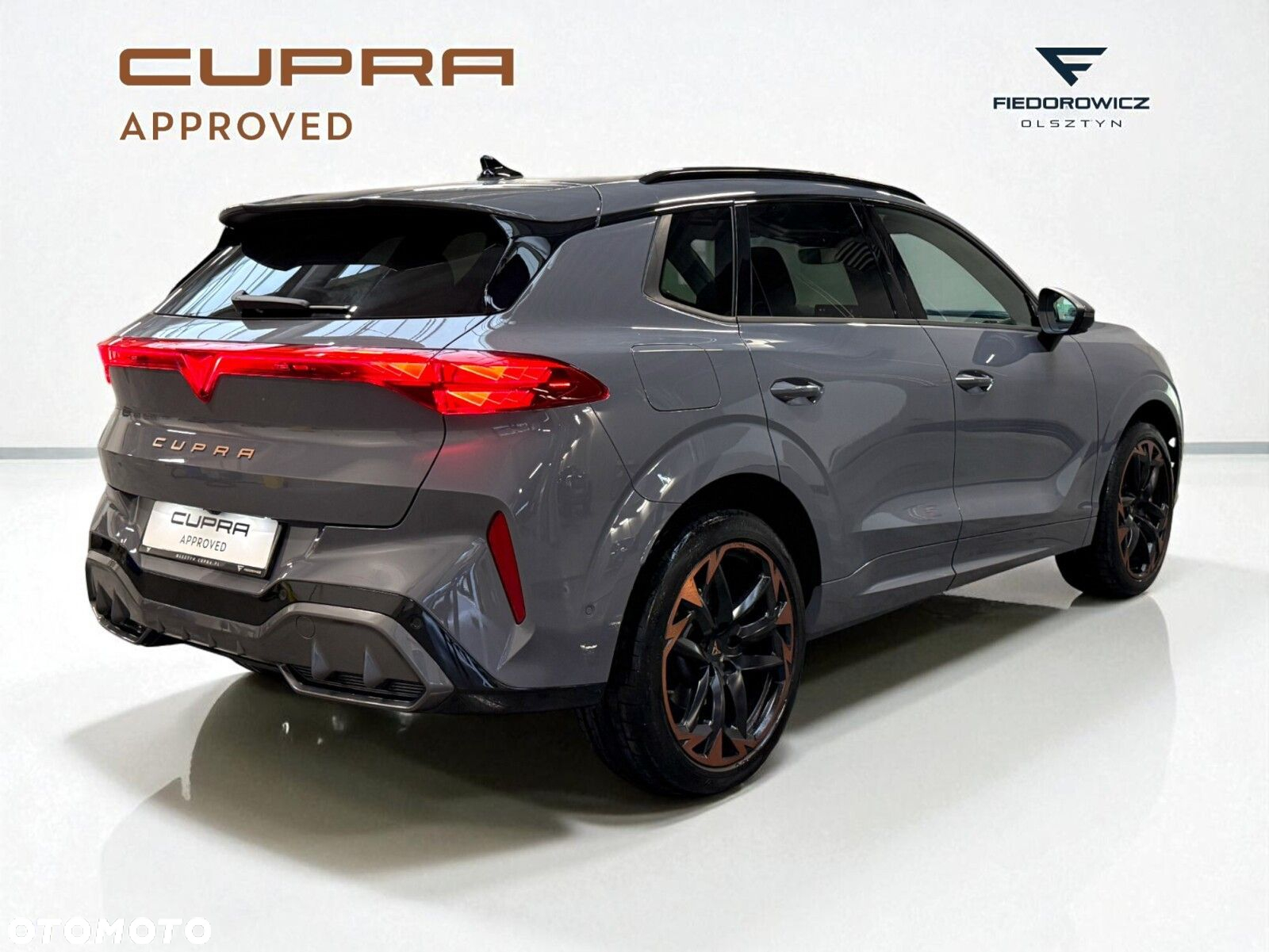 Cupra Terramar 2.0 TSI 4Drive VZ DSG - 7