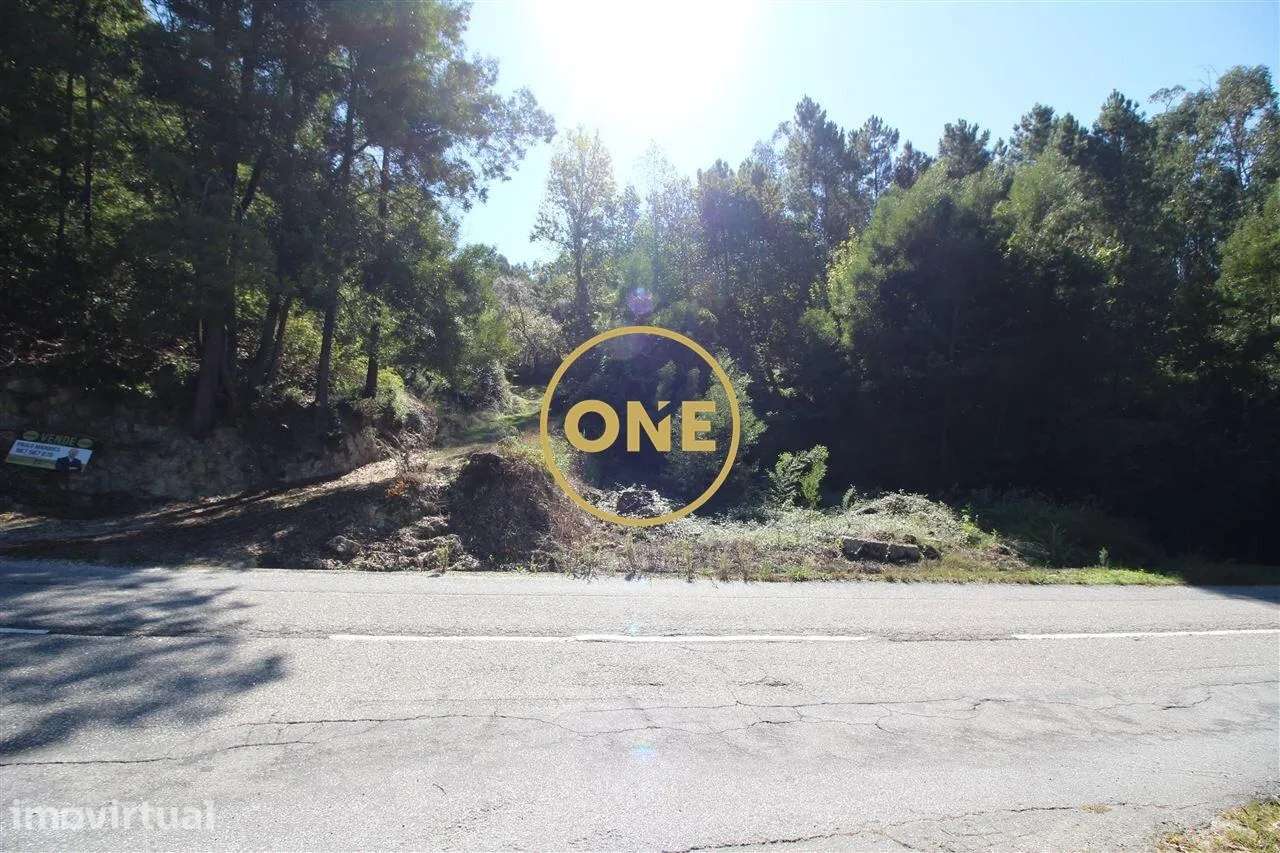 Terreno/Bouça com 8.426m2 em Armil/Fafe para venda - Grande imagem: 4/6