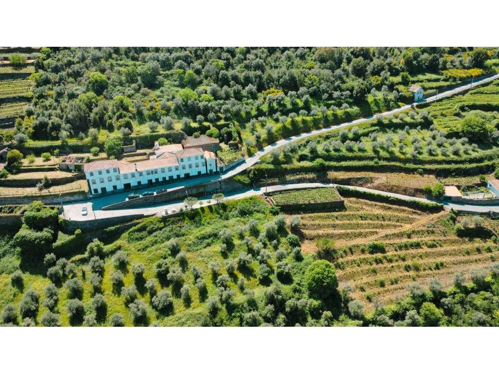 Casa Senhorial Brasonada do Século XVIII na Região do Douro - Grande imagem: 3/57