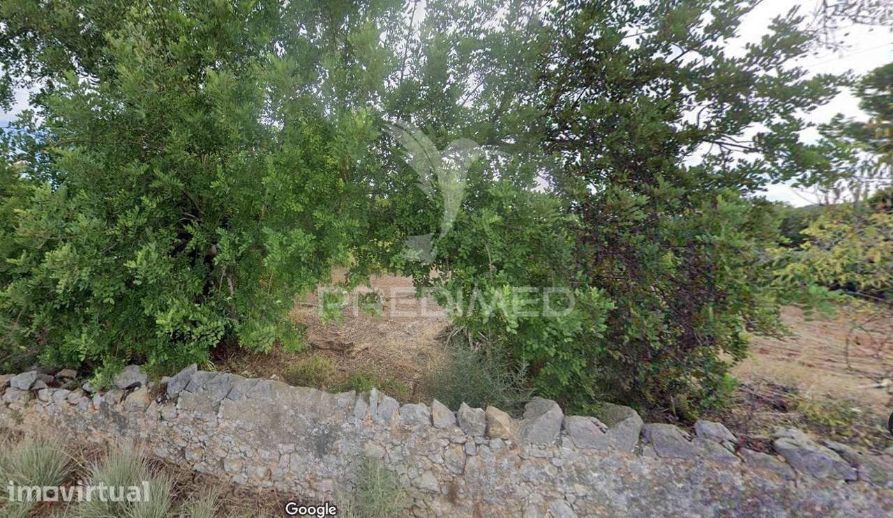 Terreno Rustico no Farrobo São Brás de Alportel - Grande imagem: 2/10