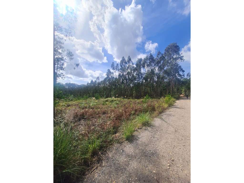 Terreno para construção em Picoto - Oliveirinha - Aveiro - Grande imagem: 5/7