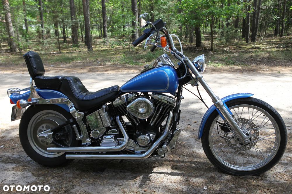 Harley-Davidson Softail - 5