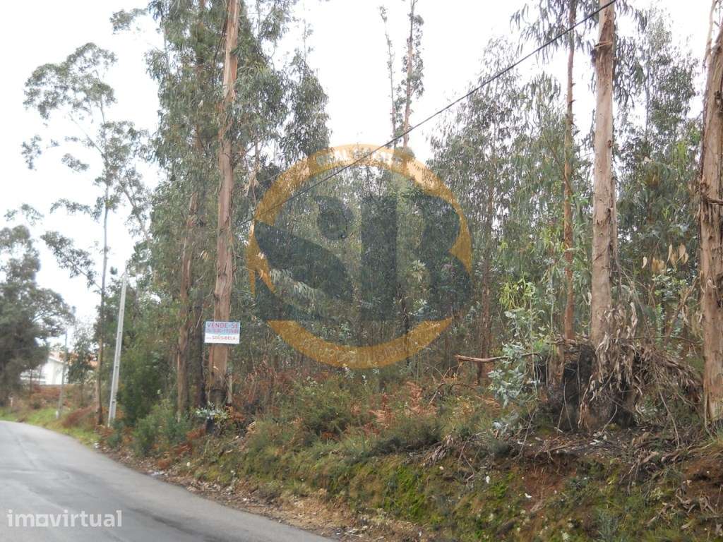 Terreno em Vila de Cucujães - Grande imagem: 2/3