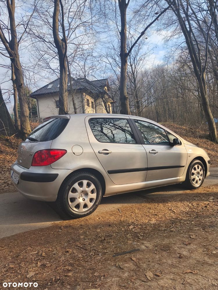 Peugeot 307 - 12