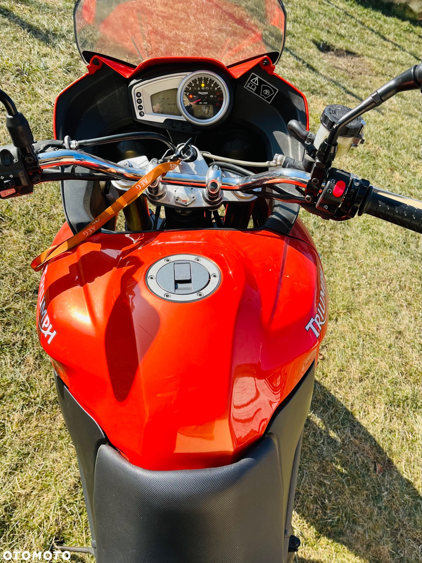 Triumph Tiger - 6