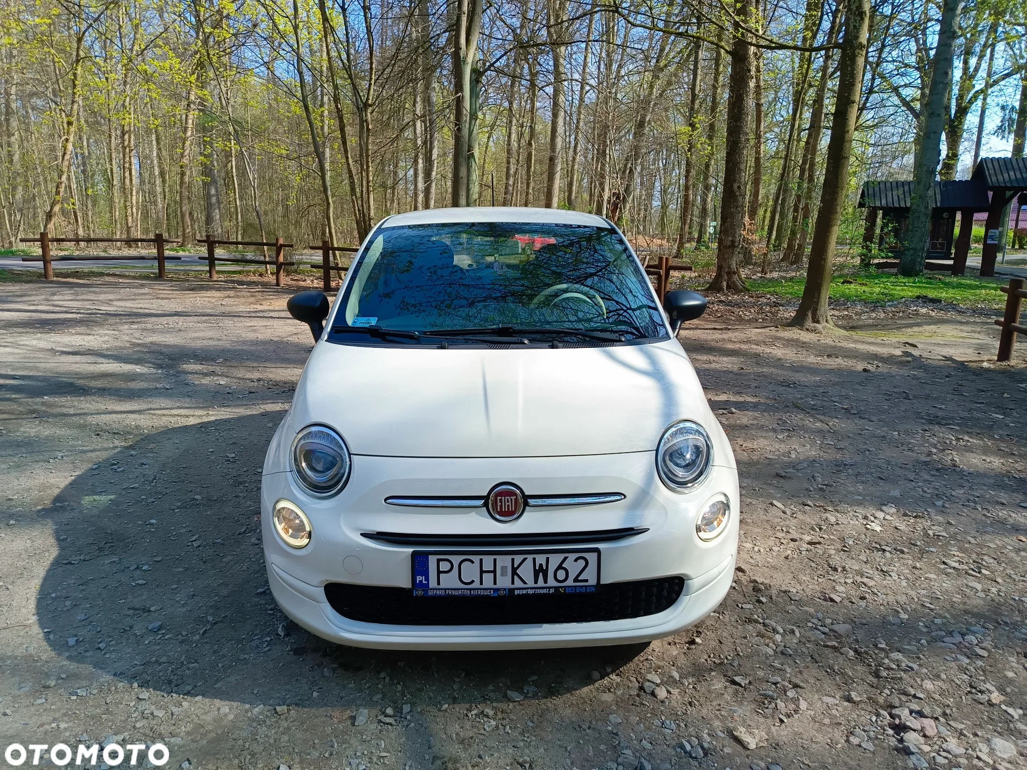 Fiat 500 1.2 Lounge - 5