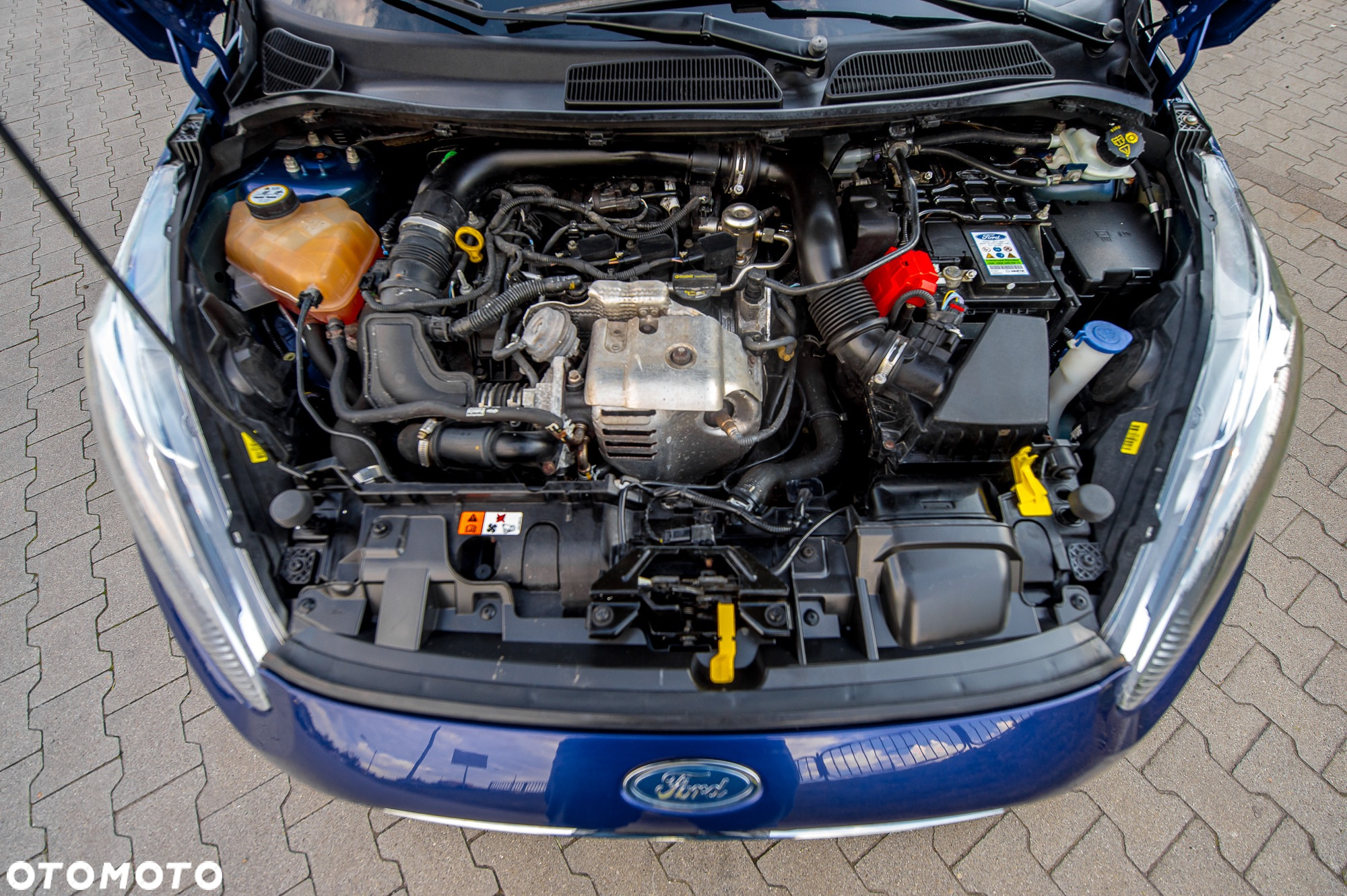 Ford Fiesta 1.0 EcoBoost Champions Edition - 29