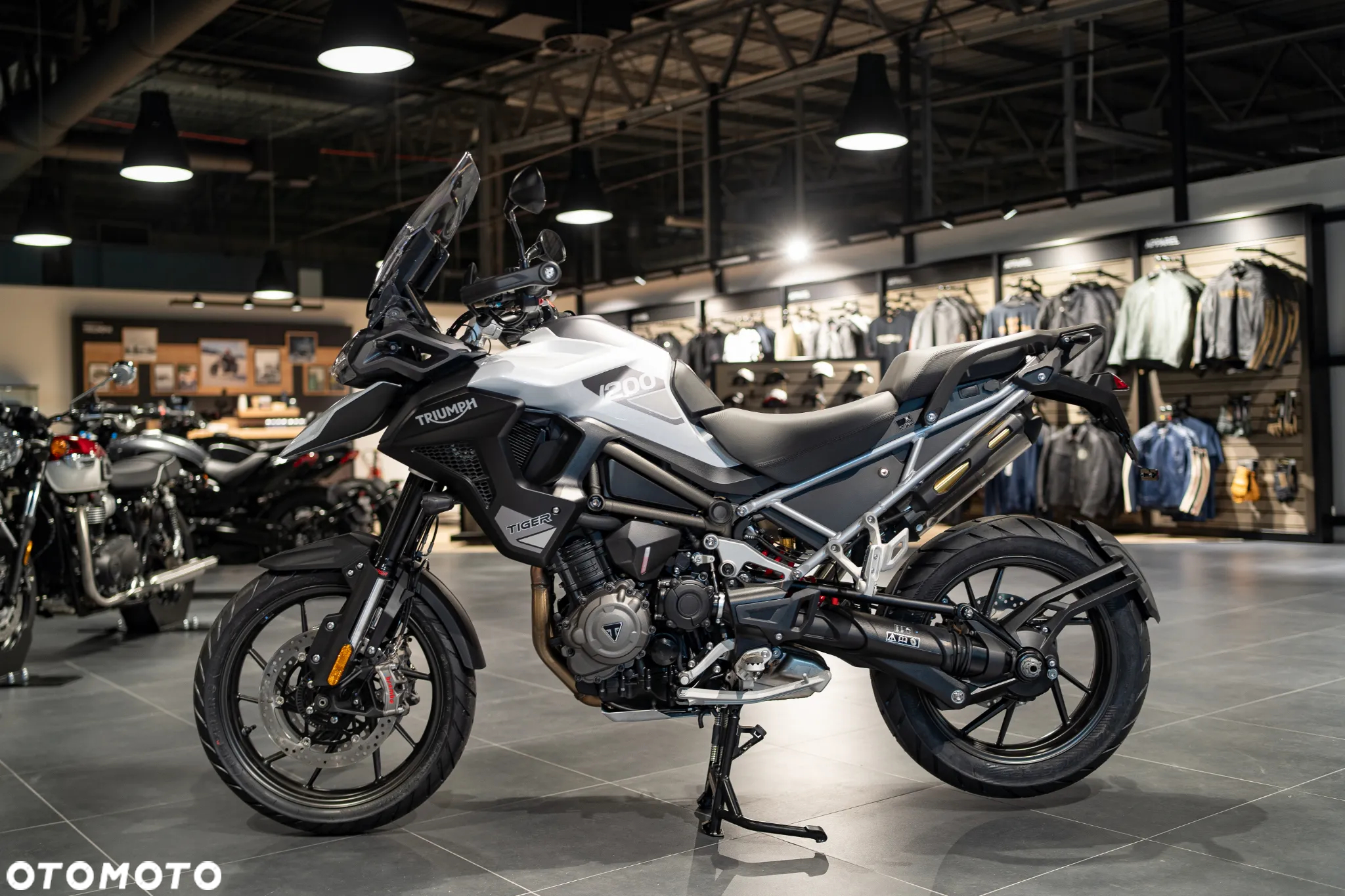Triumph Tiger - 13