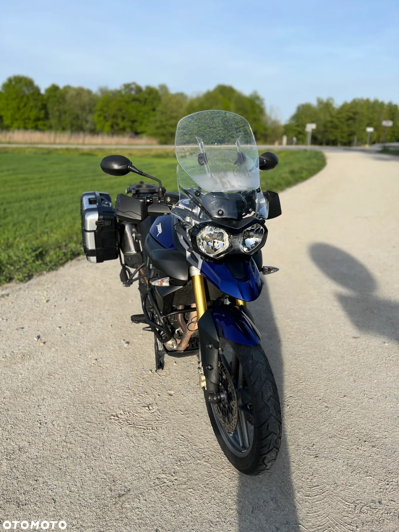 Triumph Tiger