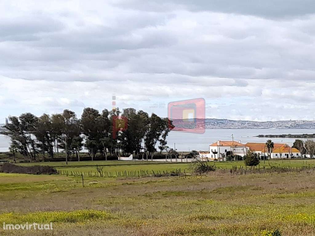 TERRENO GAIO-ROSÁRIO - QUINTA DA BELA VISTA - Grande imagem: 2/5