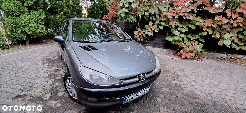 Peugeot 206 - 8