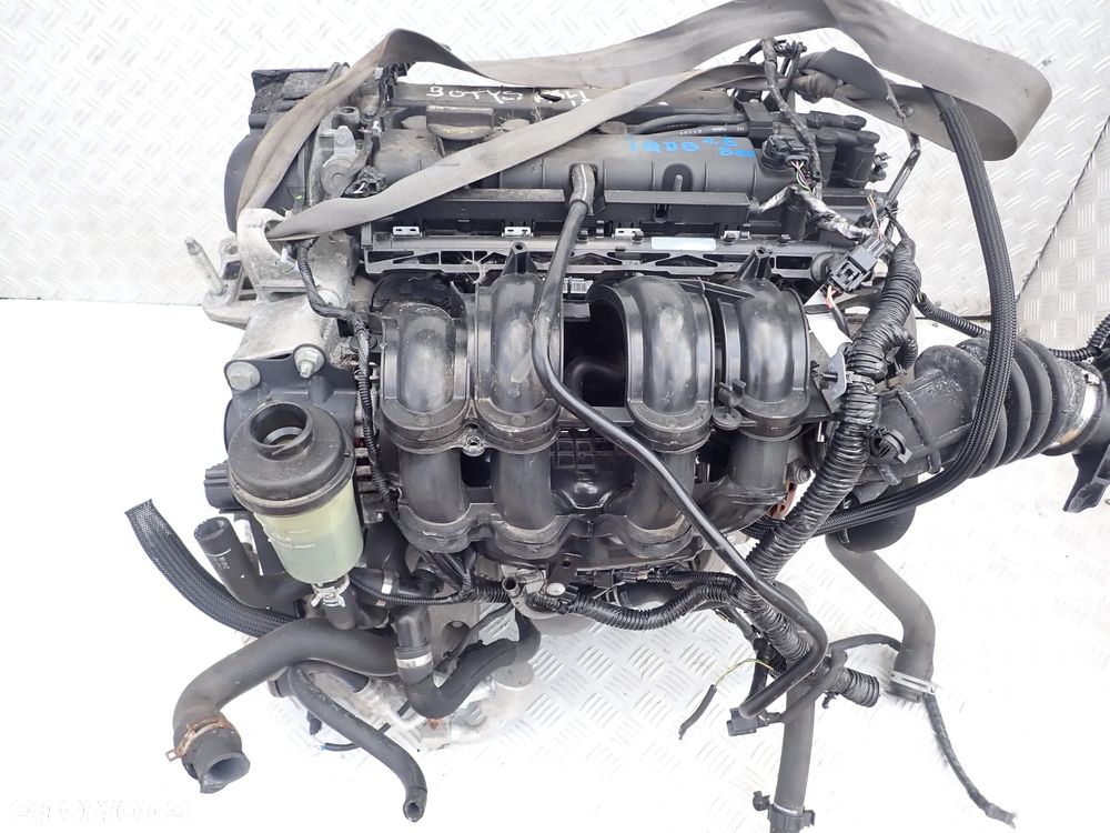 SILNIK FORD FOKUS 1.6 BENZYNA  DM5G-6007    IQDB