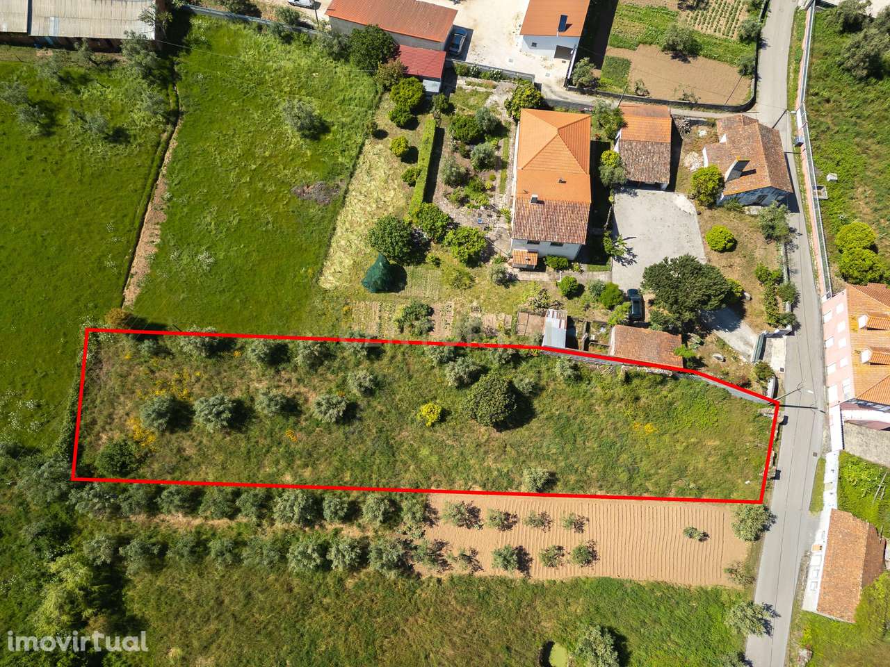 Casa Antiga para Recuperação em Alvaiázere - 1260m² - Grande imagem: 5/8