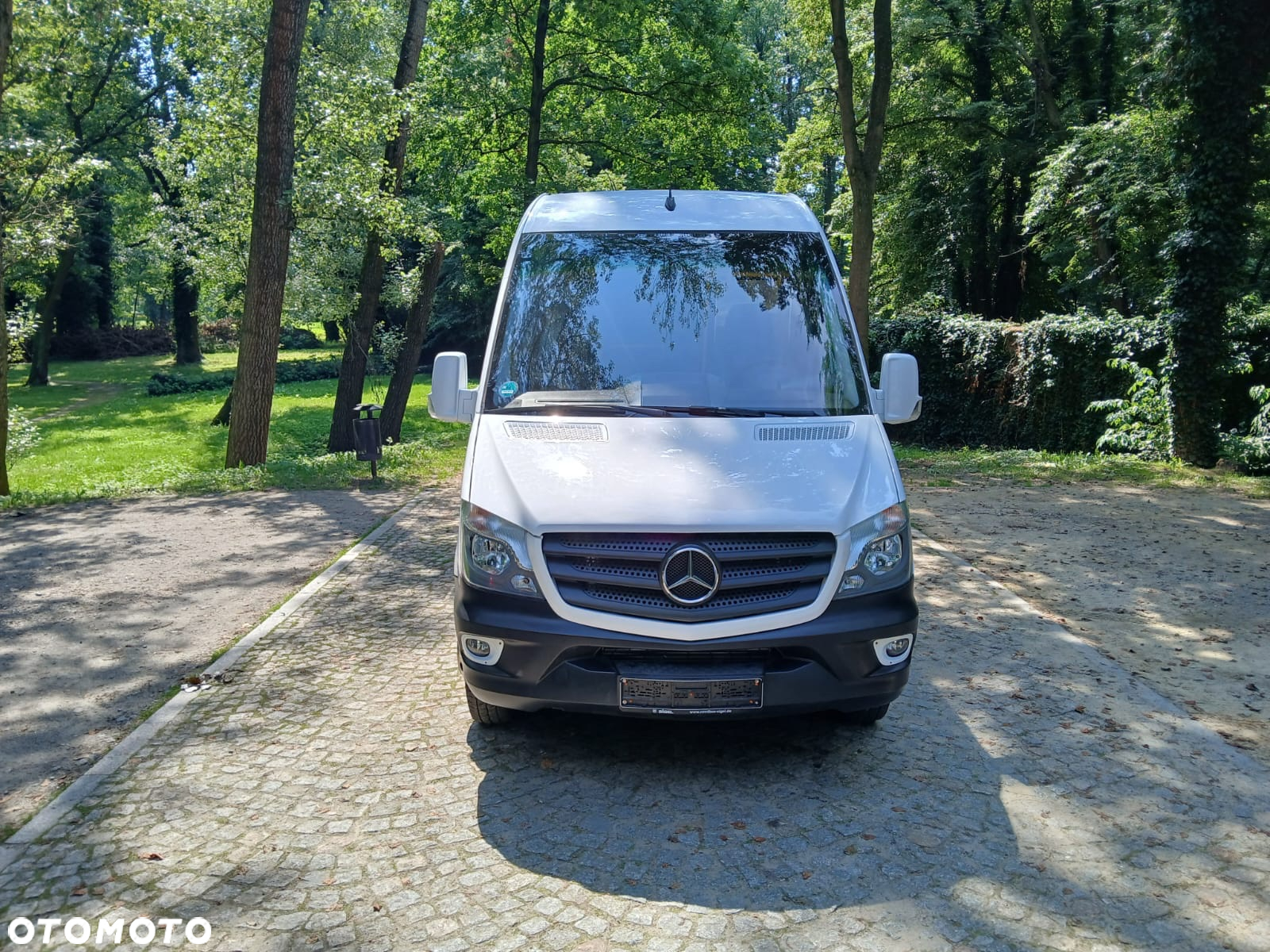 Mercedes-Benz 519 - 3
