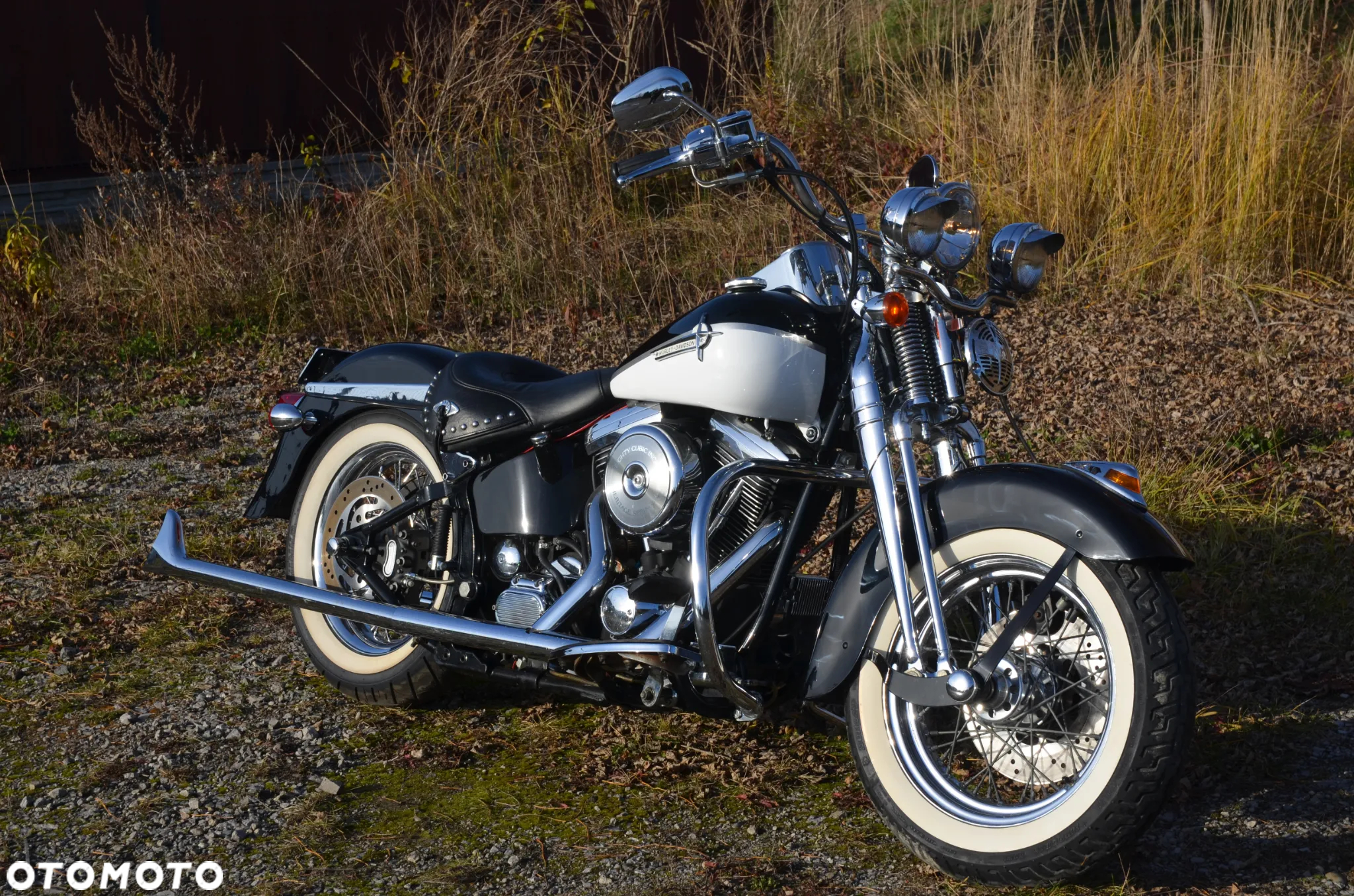 Harley-Davidson Softail Springer Classic - 7