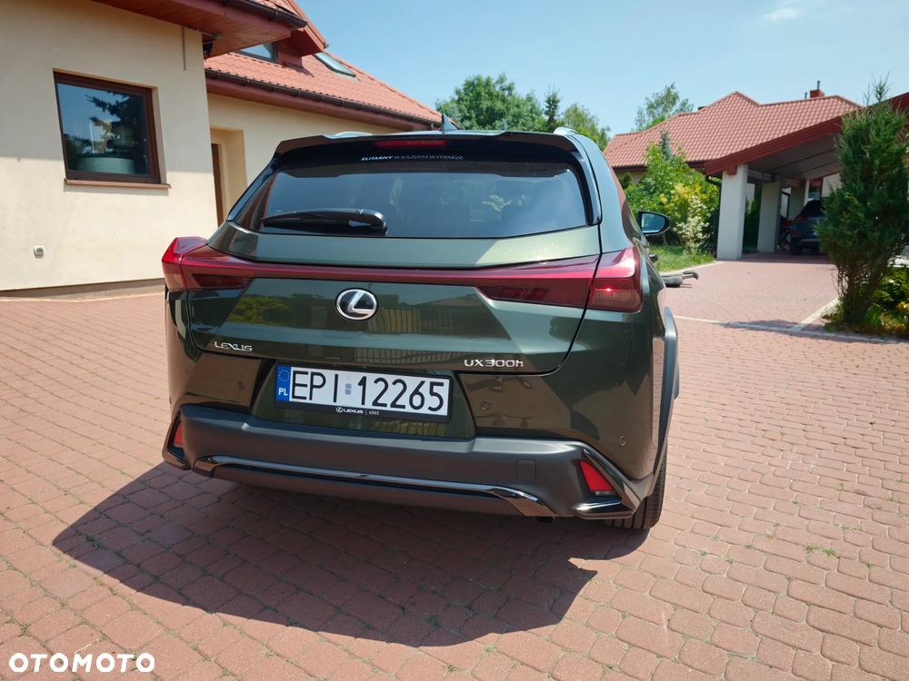 Lexus UX - 11