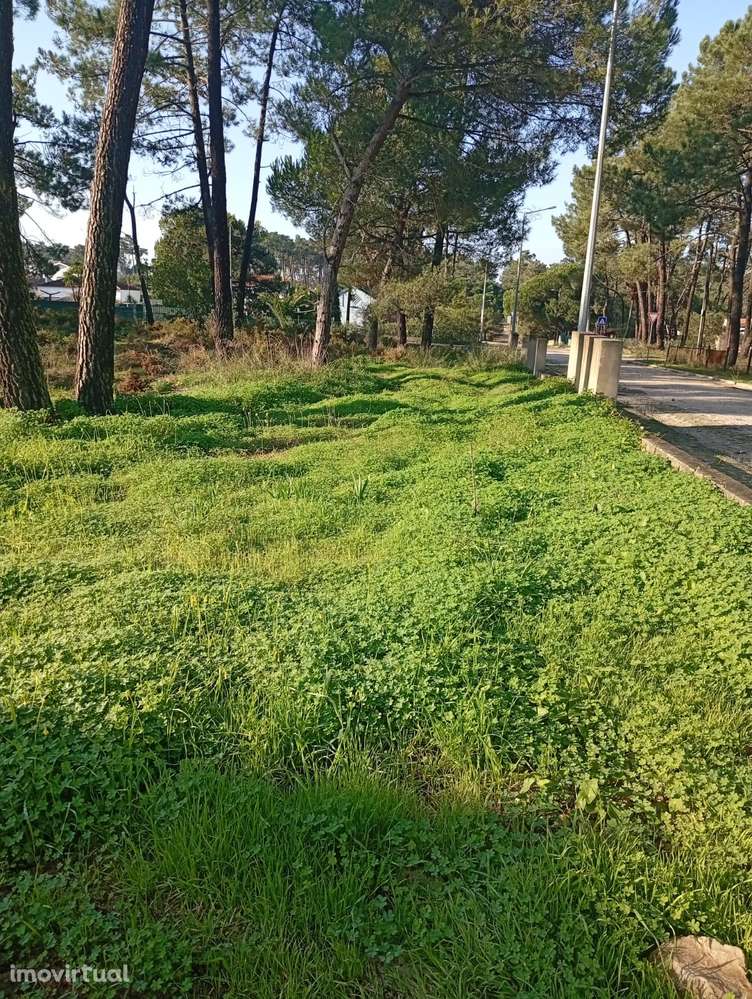 Terreno na Lagoa de Albufeira - Grande imagem: 4/5