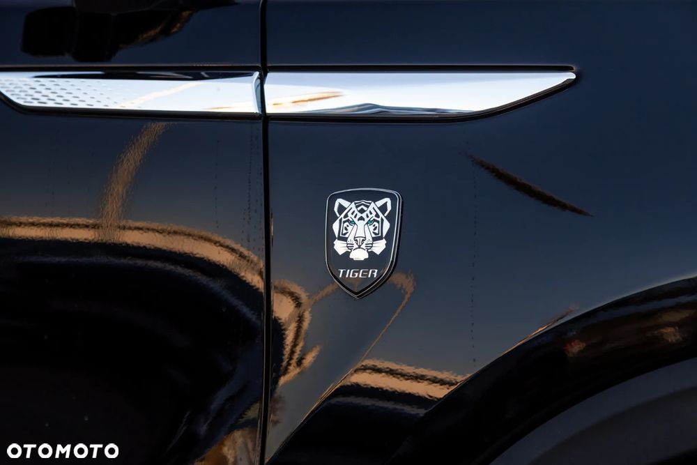 DR MOTOR TIGER EIGHT - 9