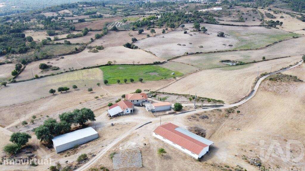 Quinta agricola T7 em Lajeosa do Mondego - Grande imagem: 4/40