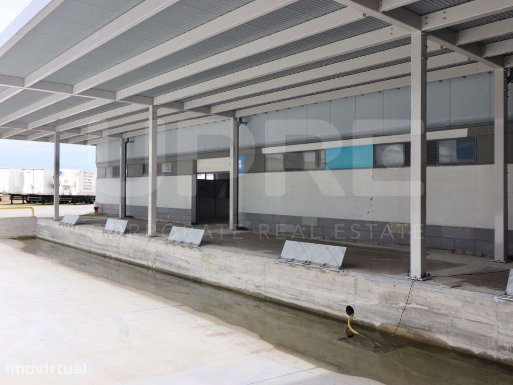 Armazém logístico c/ caís de carga | Arrendamento | Vila do Conde - Grande imagem: 5/16