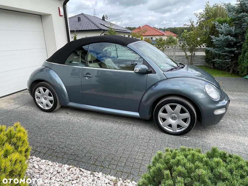 Volkswagen Beetle - 31