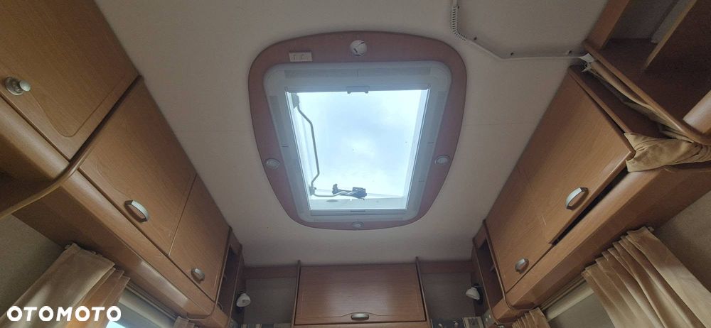 Bailey Ranger - 8
