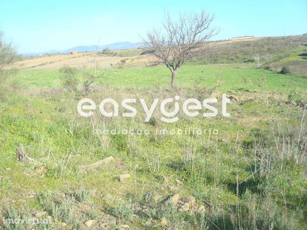 Terreno rústico de 7812 m2 - Grande imagem: 3/7