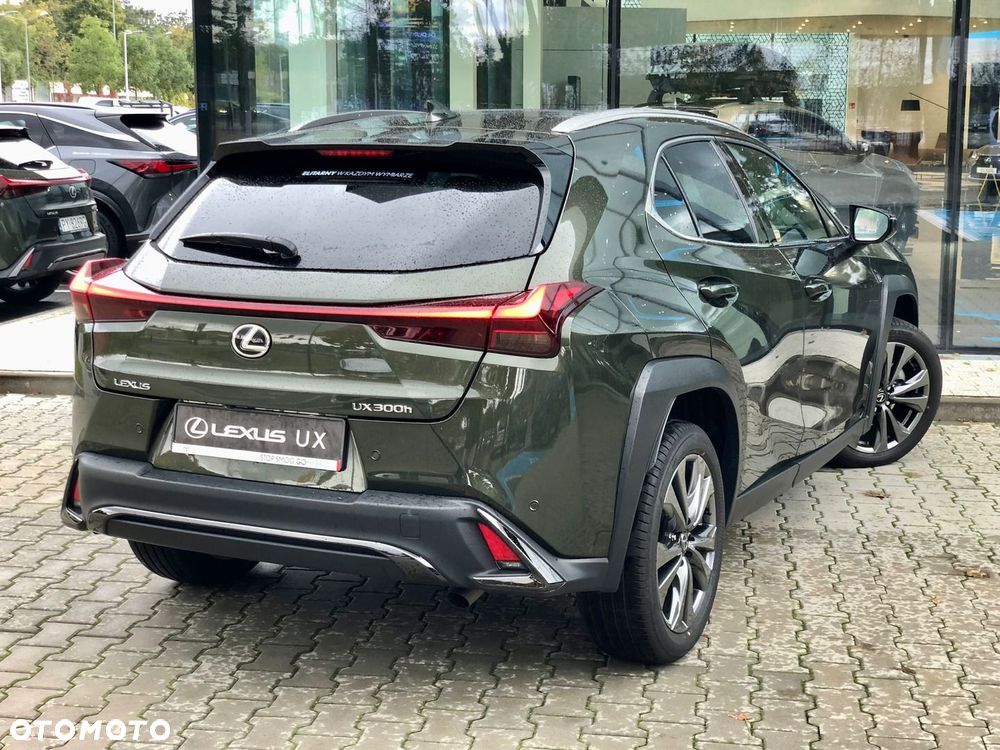 Lexus UX 300h F Sport Design - 12